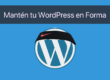 Mantén tu WordPress en forma